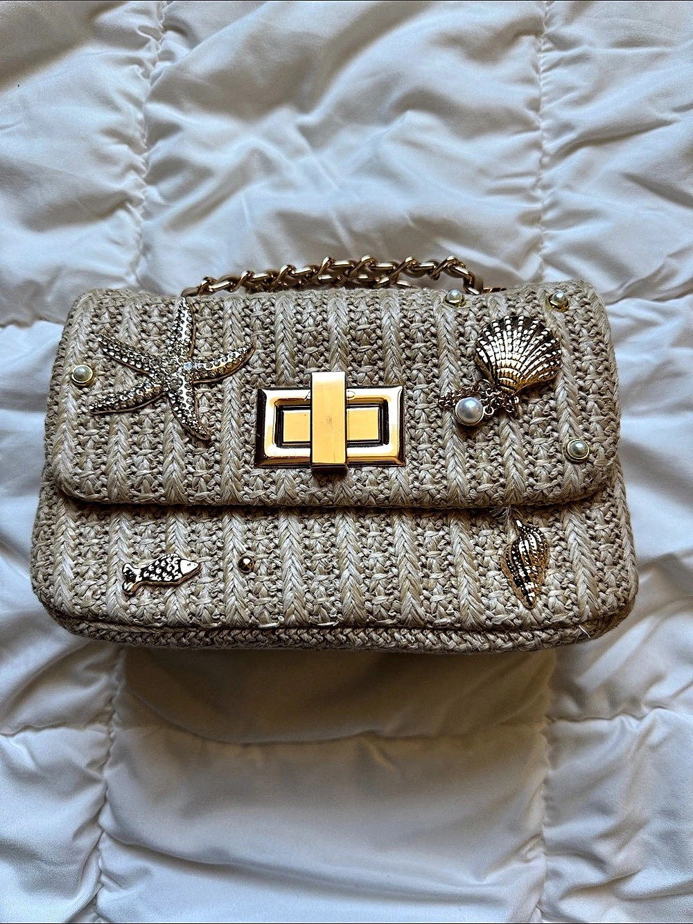ALDO Seashellminiix Satchel Embellished Shoulder Bag Beige